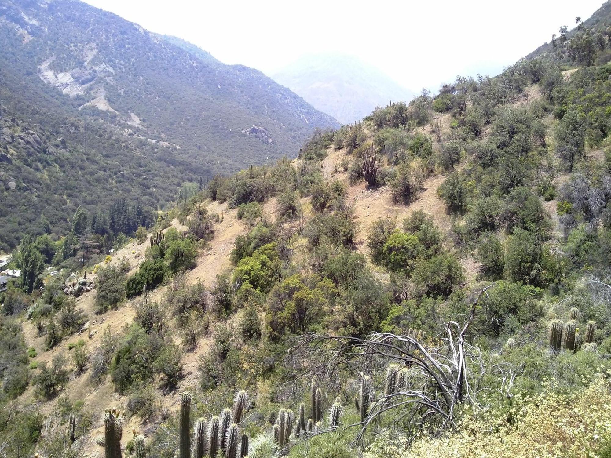 Bed and Breakfast Refugio Atreyu Santiago de Chile Exterior foto